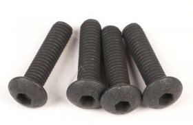 Platum Screw - P2e-18 Screws M4*16 (4pcs)