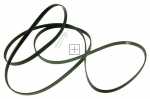 Drive Belts - 6ph1950 - 6ph1952 1033287 Belt 6ph1950 [Amica]