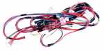 Harness - 1171967043 Harness Complete [Electrolux Aeg]